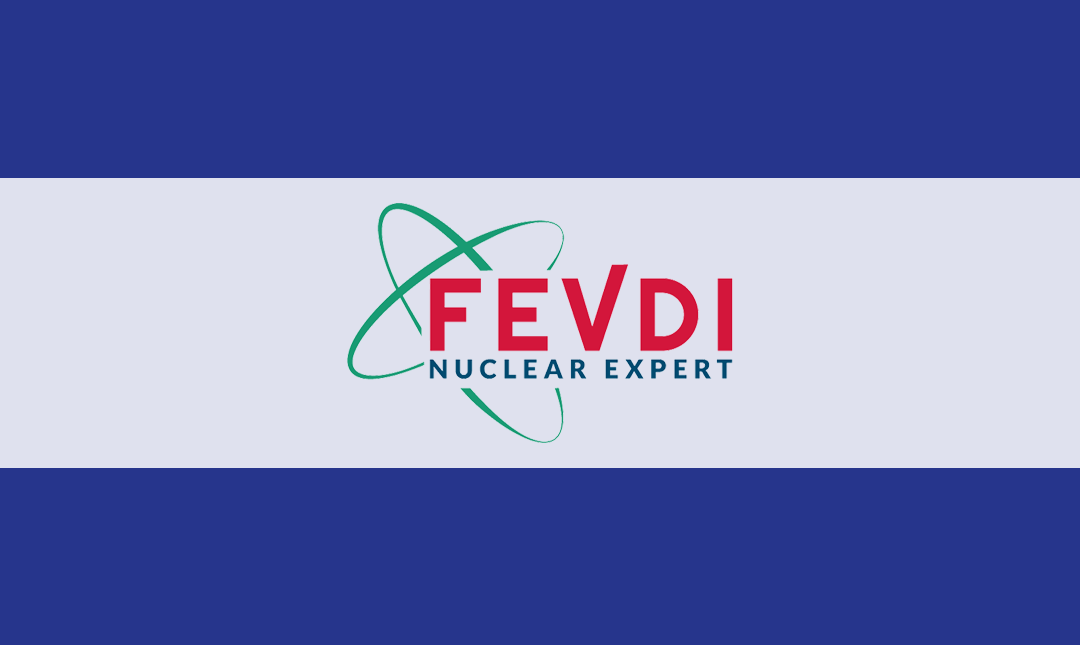 Logo FEVDI